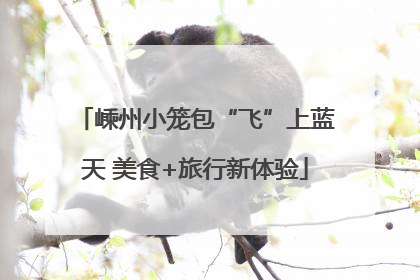嵊州小笼包“飞”上蓝天 美食+旅行新体验