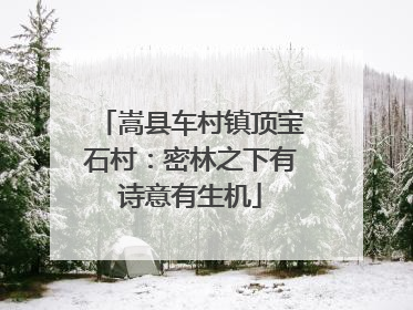 嵩县车村镇顶宝石村：密林之下有诗意有生机
