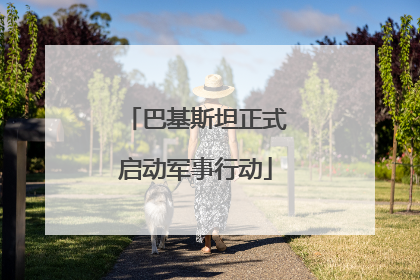 巴基斯坦正式启动军事行动