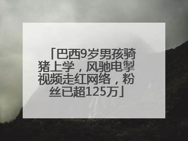 巴西9岁男孩骑猪上学，风驰电掣视频走红网络，粉丝已超125万