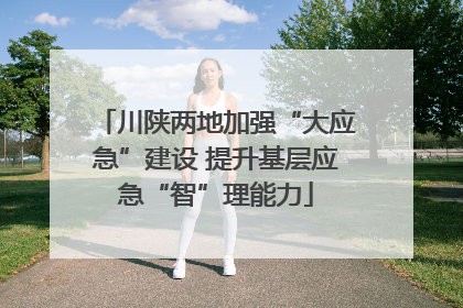 川陕两地加强“大应急”建设 提升基层应急“智”理能力