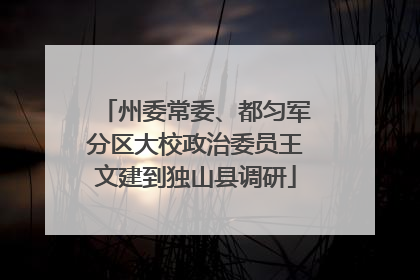 州委常委、都匀军分区大校政治委员王文建到独山县调研