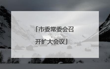 市委常委会召开扩大会议