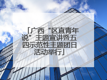 广西“区直青年说”主题宣讲暨五四示范性主题团日活动举行