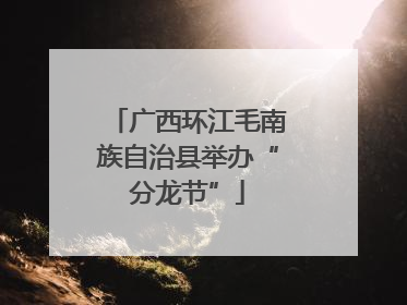 广西环江毛南族自治县举办“分龙节”