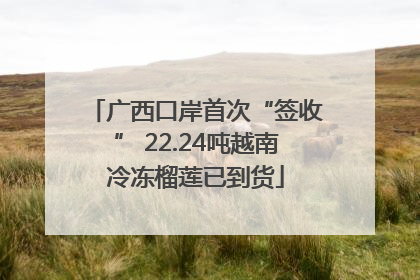 广西口岸首次“签收” 22.24吨越南冷冻榴莲已到货