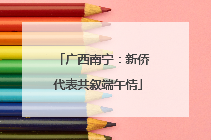 广西南宁：新侨代表共叙端午情