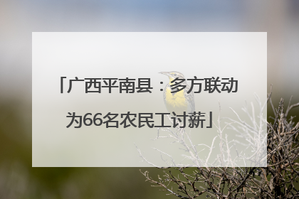 广西平南县：多方联动为66名农民工讨薪
