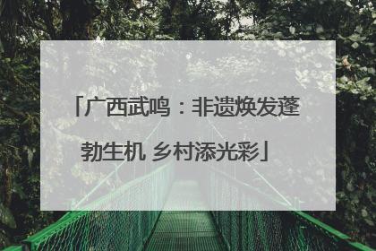 广西武鸣：非遗焕发蓬勃生机 乡村添光彩