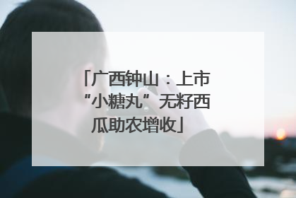 广西钟山：上市“小糖丸”无籽西瓜助农增收