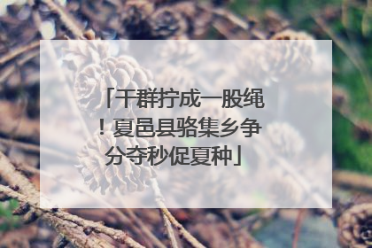 干群拧成一股绳！夏邑县骆集乡争分夺秒促夏种