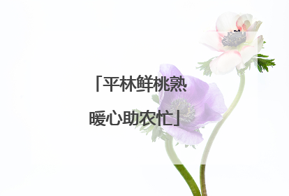 平林鲜桃熟 暖心助农忙