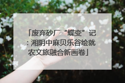 废弃砂厂“蝶变”记：湘阴中麻贝乐谷绘就农文旅融合新画卷