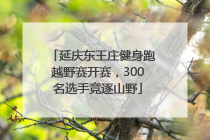 延庆东王庄健身跑越野赛开赛，300名选手竞逐山野