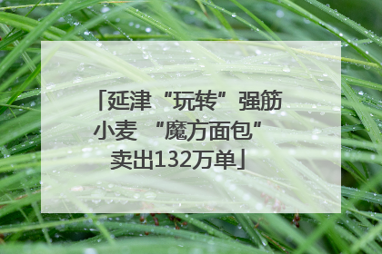 延津“玩转”强筋小麦 “魔方面包”卖出132万单