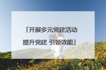 开展多元党建活动 提升党建 引领效能