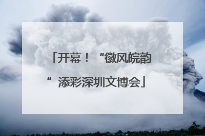 开幕！“徽风皖韵”添彩深圳文博会