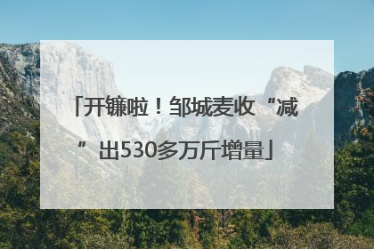 开镰啦！邹城麦收“减”出530多万斤增量