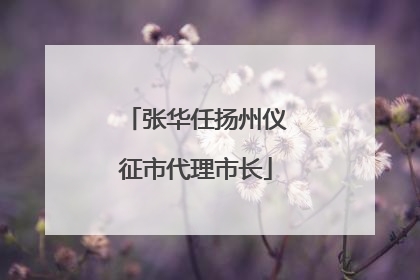 张华任扬州仪征市代理市长