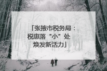 张掖市税务局：税惠落“小”处 焕发新活力