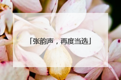 张韵声，再度当选