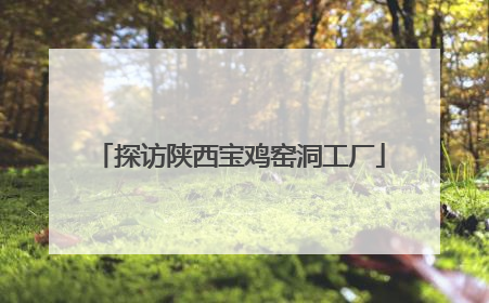 探访陕西宝鸡窑洞工厂