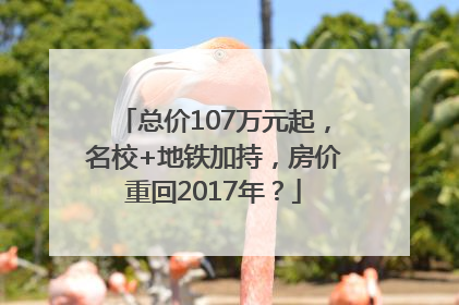 总价107万元起，名校+地铁加持，房价重回2017年？