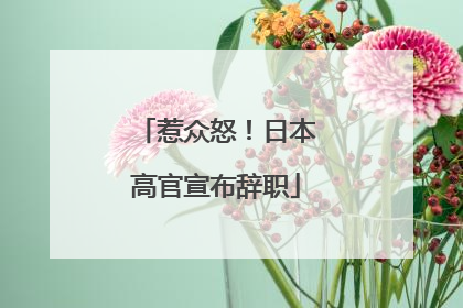 惹众怒！日本高官宣布辞职