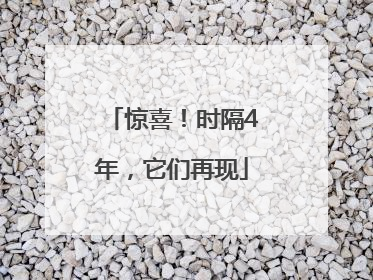 惊喜！时隔4年，它们再现