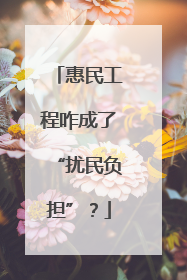 惠民工程咋成了“扰民负担”？
