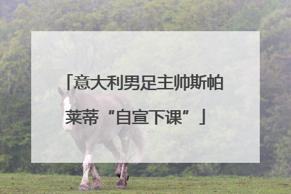 意大利男足主帅斯帕莱蒂“自宣下课”