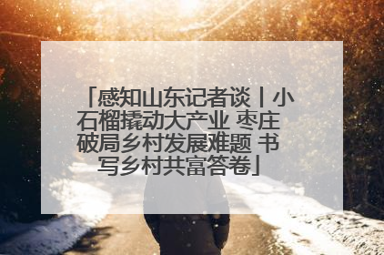 感知山东记者谈丨小石榴撬动大产业 枣庄破局乡村发展难题 书写乡村共富答卷