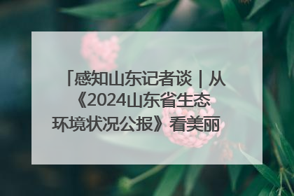 感知山东记者谈｜从《2024山东省生态环境状况公报》看美丽山东建设的“成绩单”与“任务书”
