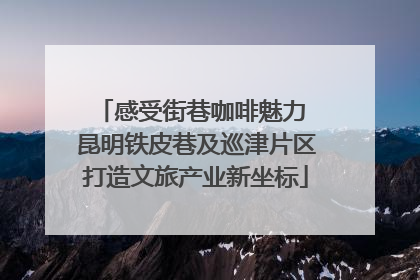 感受街巷咖啡魅力 昆明铁皮巷及巡津片区打造文旅产业新坐标