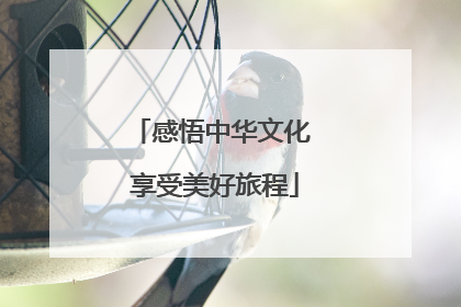 感悟中华文化 享受美好旅程