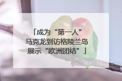 成为“第一人” 马克龙到访格陵兰岛展示“欧洲团结”