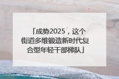 成势2025，这个街道多维锻造新时代复合型年轻干部梯队