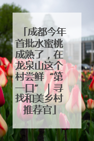 成都今年首批水蜜桃成熟了，在龙泉山这个村尝鲜“第一口”｜寻找和美乡村推荐官