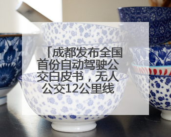 成都发布全国首份自动驾驶公交白皮书，无人公交12公里线路即将实测