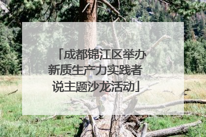 成都锦江区举办新质生产力实践者说主题沙龙活动