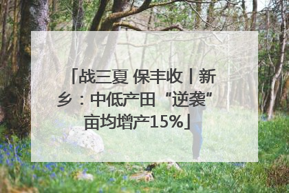 战三夏 保丰收丨新乡：中低产田“逆袭” 亩均增产15%