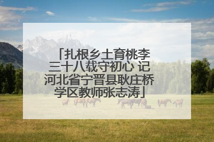 扎根乡土育桃李 三十八载守初心 记河北省宁晋县耿庄桥学区教师张志涛
