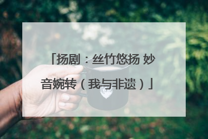 扬剧：丝竹悠扬 妙音婉转（我与非遗）