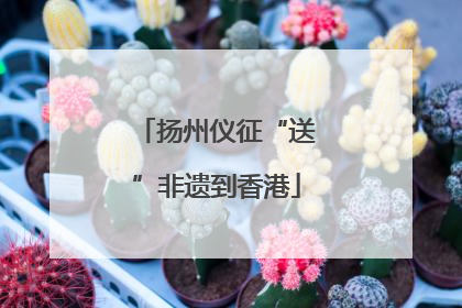 扬州仪征“送”非遗到香港