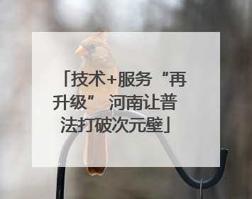 技术+服务“再升级” 河南让普法打破次元壁