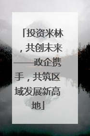 投资米林，共创未来——政企携手，共筑区域发展新高地