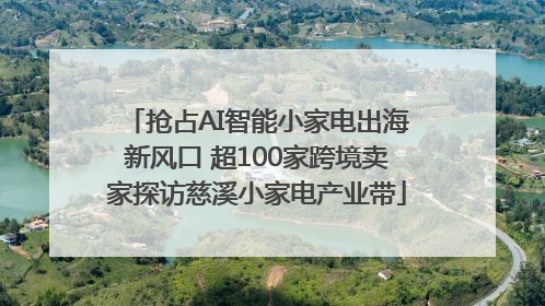 抢占AI智能小家电出海新风口 超100家跨境卖家探访慈溪小家电产业带