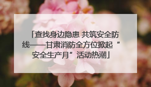 查找身边隐患 共筑安全防线——甘肃消防全方位掀起“安全生产月”活动热潮
