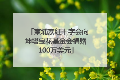 柬埔寨红十字会向坤塔宝花基金会捐赠100万美元