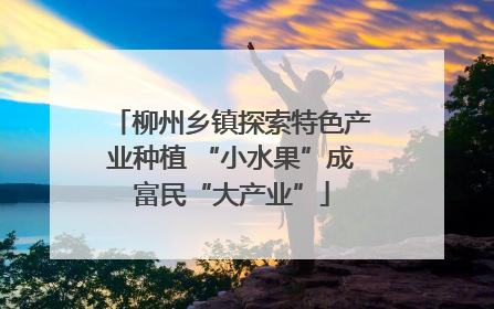 柳州乡镇探索特色产业种植 “小水果”成富民“大产业”